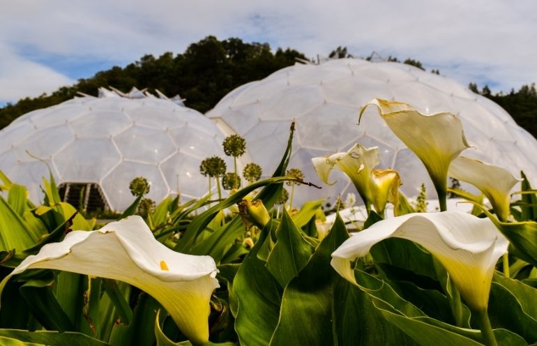 Eden Project.jpg